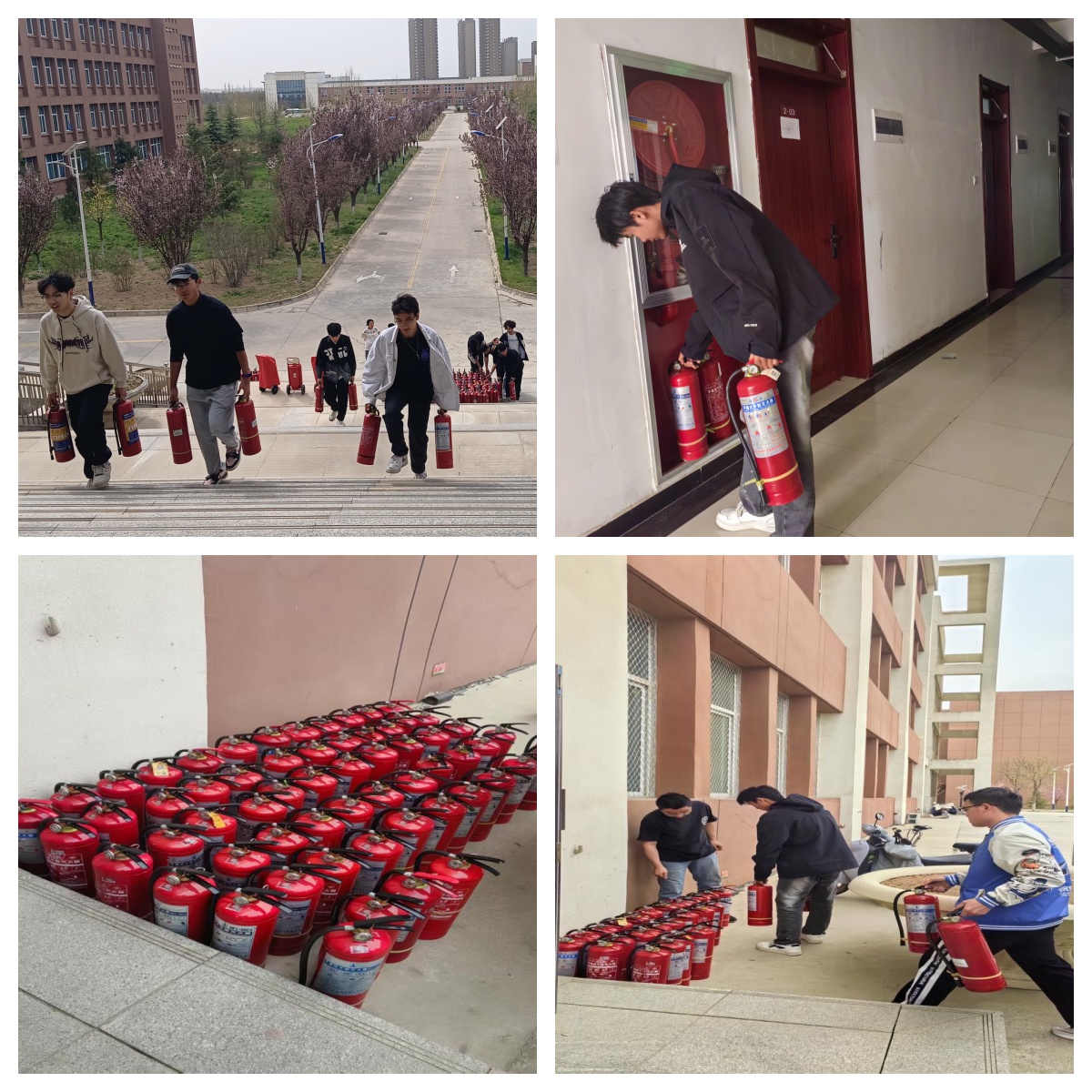 1743664404528623.jpg 1743664404528623.jpg